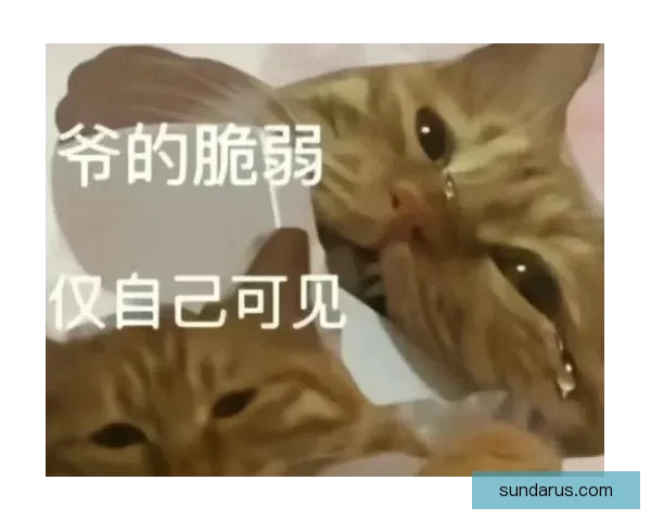 因凡蒂诺的和平理想与现实的巨大落差